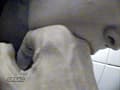 夜の繁華街 泥○女○制嘔吐1 サンプル画像 7