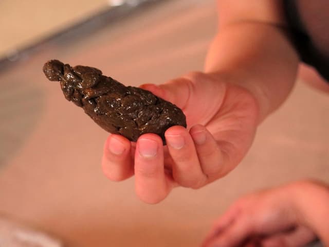 人間崩壊シリーズ32 ゲロスカ痴女 M男○制食糞の宴3 サンプル画像 5